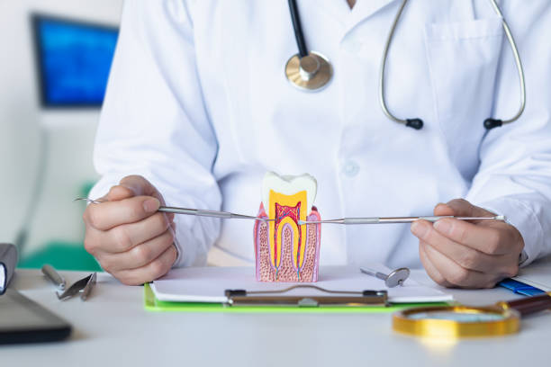 Best Emergency Wisdom Tooth Extraction in Sherman, IL